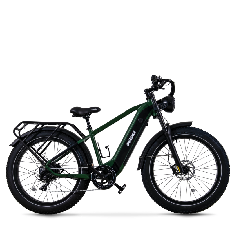 electric bike