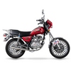 Two Wheeled Motorcycle