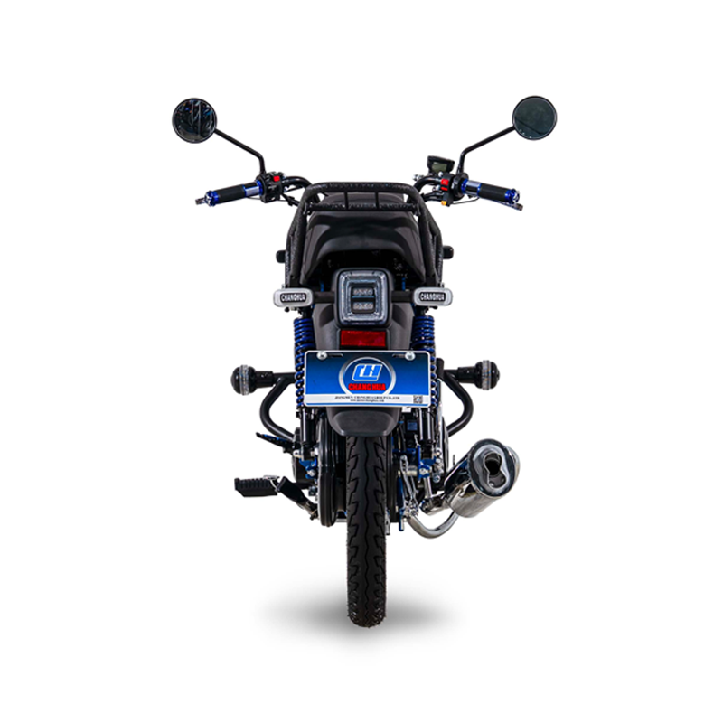 Gasoline motorcycle
