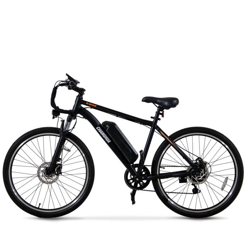 electric bike